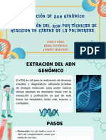 Extracción de Adn