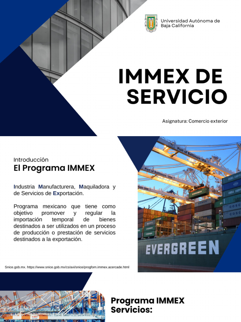 Immex de Servicio | PDF