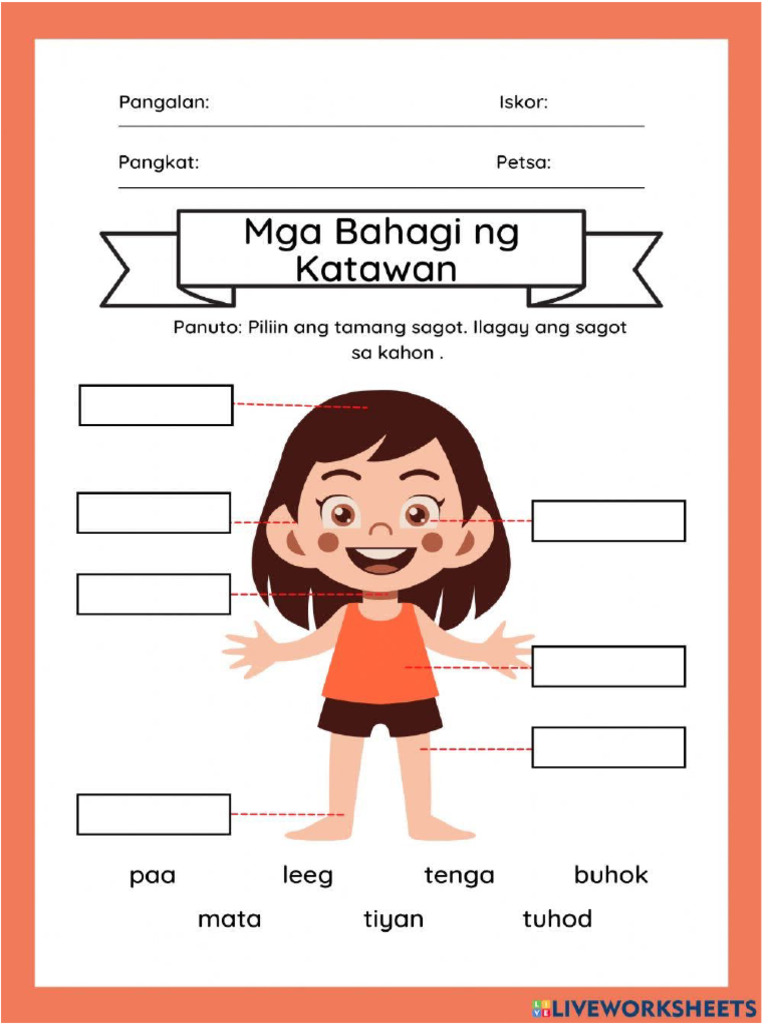 Bahagi NG Katawan | PDF