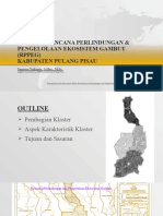 KLASTER Rencana Perlindungan & Pengelolaan Ekosistem Gambut PULPIS