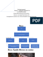 Luis Angel Silva Romero Aparatodigestivo Neoplasia