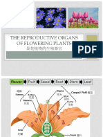 The Reproductive Organs of Flowering Plants - 2023