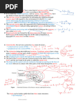 NIOT-UnitII-The Nervous System-Annotations