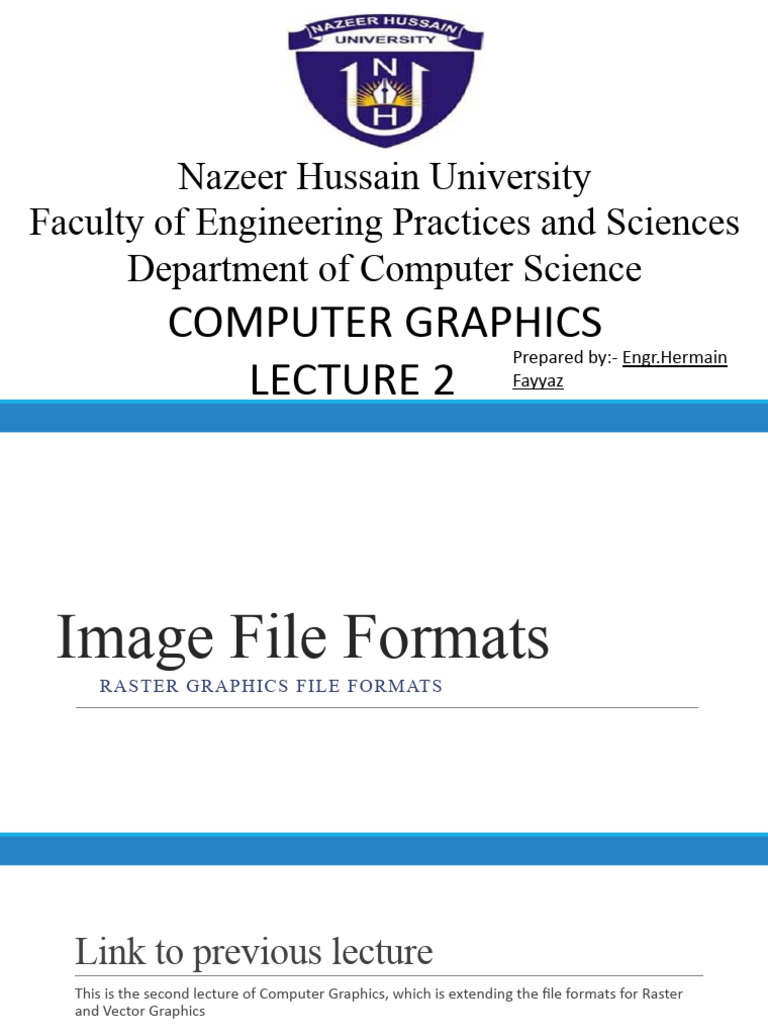 Raster and Vector Graphics Formats | PDF | Data Compression | Imaging