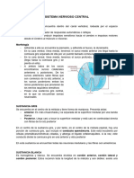 Sistema Nervioso Central