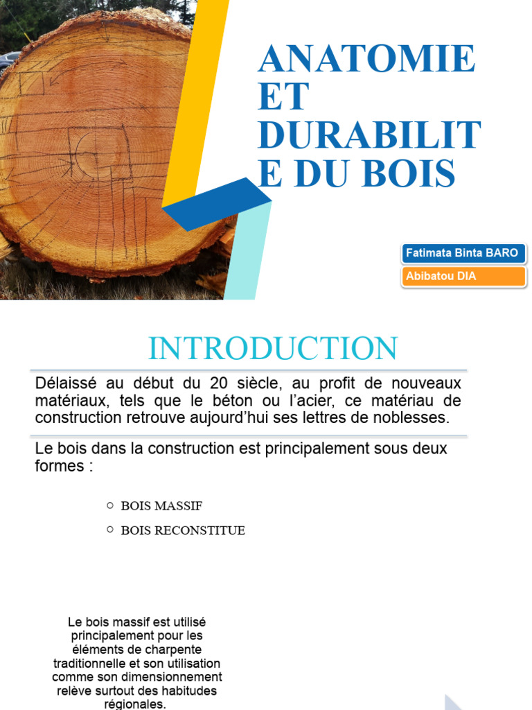 Anatomie et durabilité du bois | PDF | Bois | Bois (matériau de ...