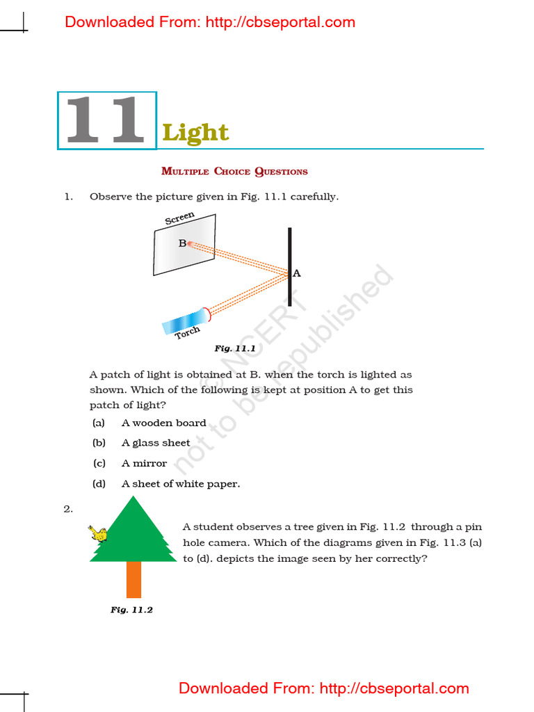 Class 6 Science: Light and Shadows Quiz | PDF | Shadow | Light