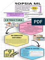 Infografia Informe Pericial Necropsia Inml