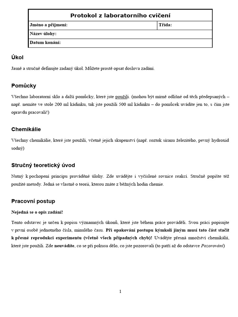 Vzor Protokol | PDF