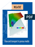 Flow and TRansport in Porous Media - 2021-22