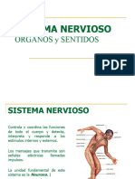 Sistema Nervioso Clase DR John (1) - 015517