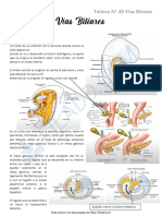 Teorico N 49 Vias Biliares