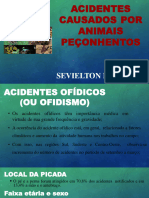 Acidentes Causados Por Animais Peçonhentos