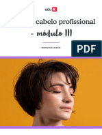 Corte de Cabelo Profissional Mdulo III