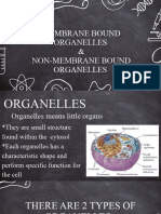 Membrane Bound Organelles and Non Membrane Bound Organelles