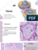 Cell and Tissue - 1 - 66