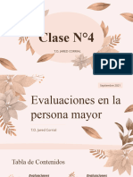 Clase 4 Pautas de Evaluación