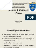 Anatomy Lec-4