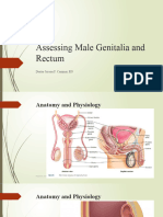 Male Female Genitalia and Rectum Assessment