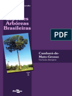 Especies Arboreas Brasileiras Vol 5 Cambara de Mato Grosso