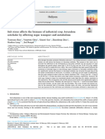 Salt Stress Affects The Biomass of Industrial Crop