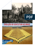 Evolução Da Sojicultura No Brasil