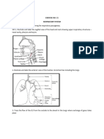 11RESPIRATORY