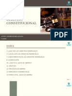 Derecho Constitucional