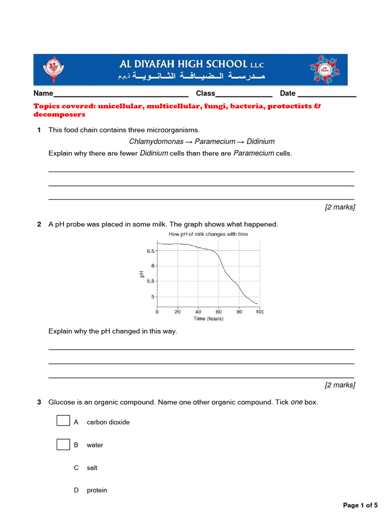 Extension Worksheet 8 PDF Yeast Cell (Biology)