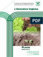 Olericultura Plantio