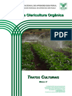 Olericultura Tratosculturais