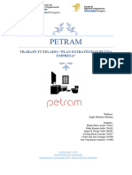 Petram G19