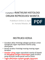 Tugas Praktikum Histologi Organ Reproduksi Wanita: Praktikum Online 21 April 2020 Dr. Huriatul Masdar, M.SC