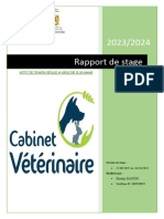 Rapport Du Cabinet2