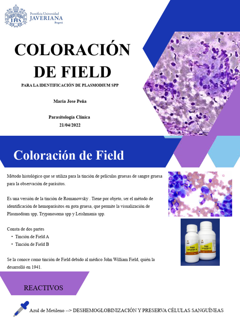 COLORACION DE FIELD | PDF | Tinción | Malaria
