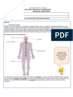 GUIA DE APRENDIZAJE-4º-basico-sistema-nervioso