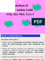 metabolism of amino acids