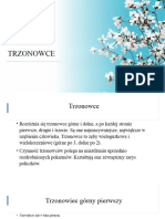 Trzonowce