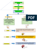 Cuadro Sinoptico de El Cerebro