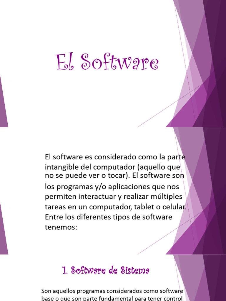 El Software y Sus Clases PDF