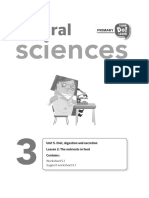 NS3 Unit5 Lesson2 Worksheet