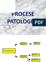 Procese Patologice