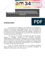 7390-Texto Del Artículo-7297-1-10-20220314