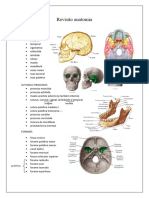 Revisão Anatomia