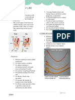 Male Female Urinary Catheterization