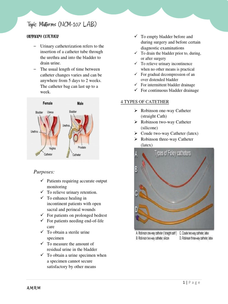 Male Female Urinary Catheterization | PDF | Urinary Incontinence ...
