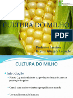 Culturadomilhoaula1 140618225311 Phpapp01