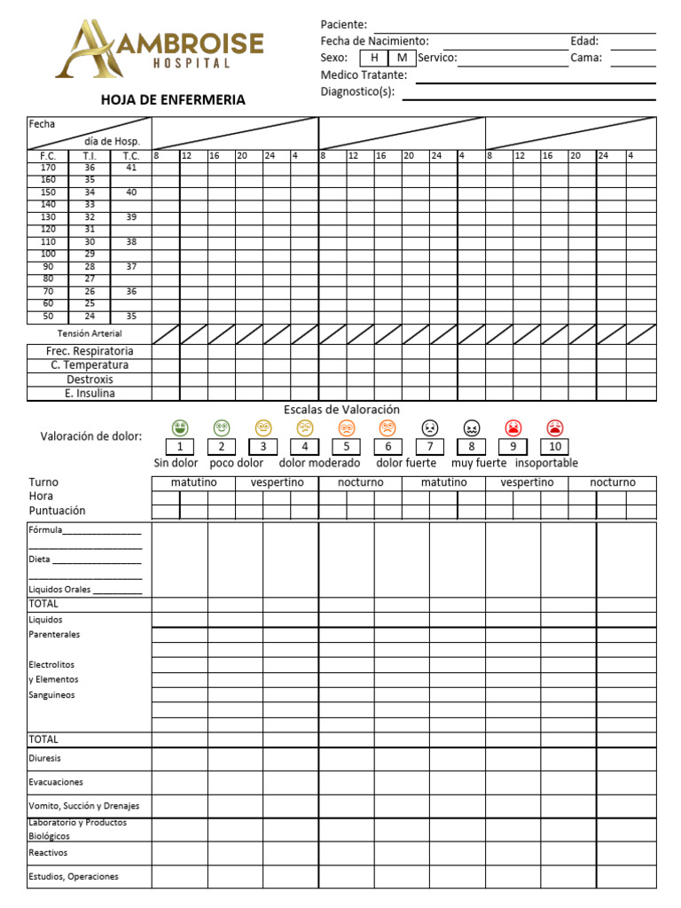 Hoja de Enfermería para Registro Clínico | PDF