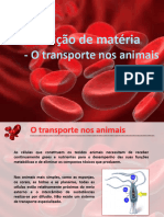 Transporte Nos Animais