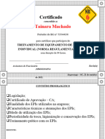 Certificado NR 06 - Modelo